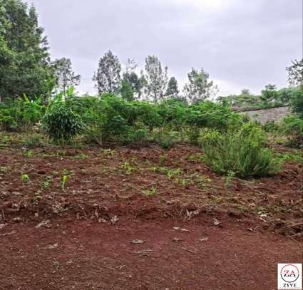 0.5 ac Residential Land at Muthaiga North image 6