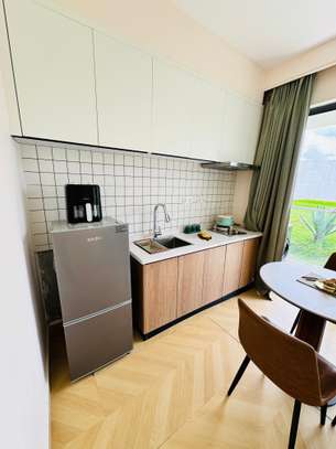 Studio Apartment with En Suite in Syokimau image 7