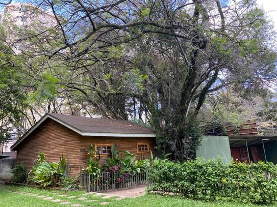 Cabin-Style Furnished Office to Let – Kilimani image 5