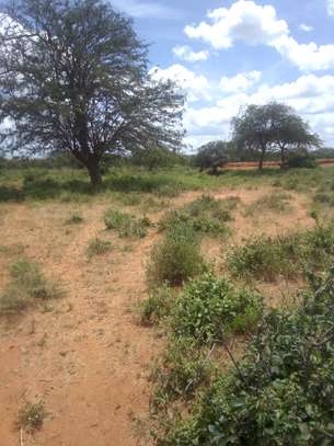 163 Acres Touching Makindu-Wote Road Is Available For Sale image 4