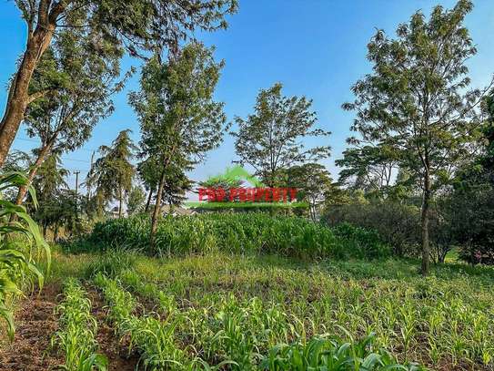 0.2 ha Commercial Land in Ndeiya image 21