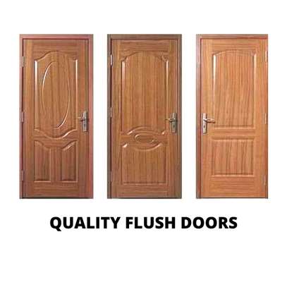 Flush doors image 4