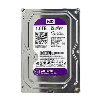 WD 1TB Surveillance Hard Disk 3.5 image 1