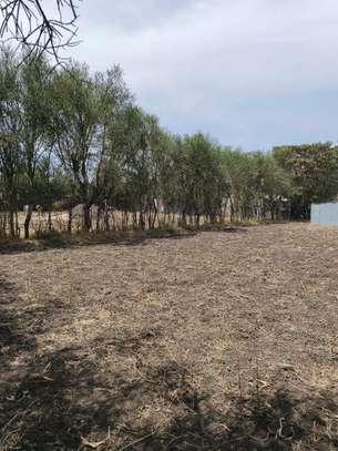 0.25 ac Land in Ruai image 11