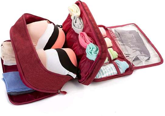 Bra panties/boxers and socks Travel Case image 2