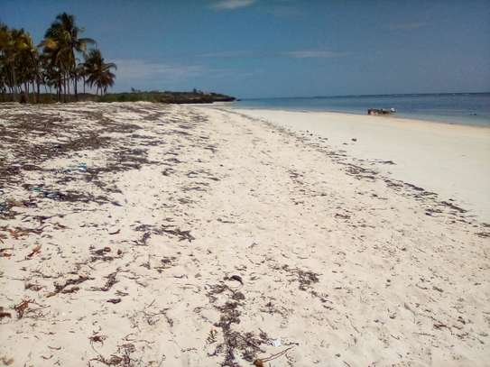 20-Acre Beach Plot For Sale in Kikambala image 1