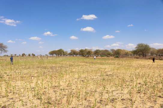 Real Estate Photography and Videography image 11