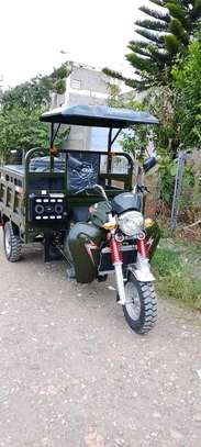 NEW APSONIC CARGO TUKTUK 250CC image 2