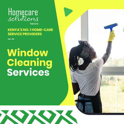Window Cleaning Services Near Me image 1