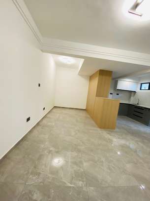 Studio Apartment with En Suite at Mararo Road image 10