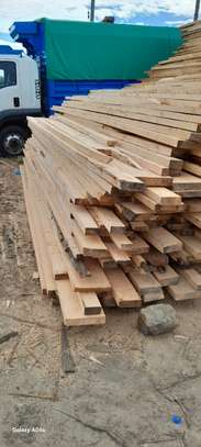 Bluegum timber for sale image 2