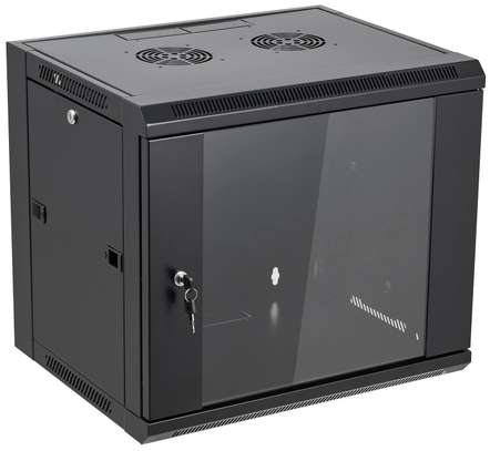 9U 600 X 450 wall mountable Data Cabinet image 1