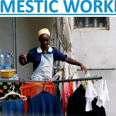 Supply trained domestic workers/House girls image 3