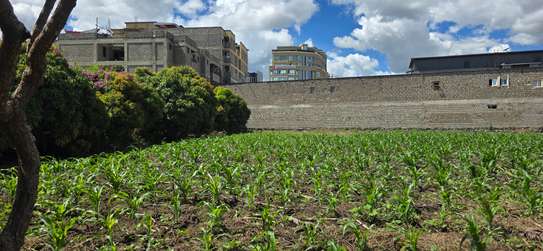 PRIME HALF ACRE LAND FOR SALE IN RUIRU KAMAKIS image 2