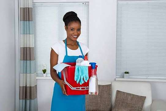 House Maids, Domestic Workers, Nannies in Westlands image 4