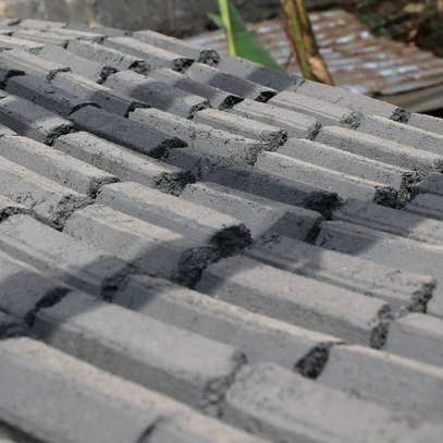 Charcoal Briquettes image 5