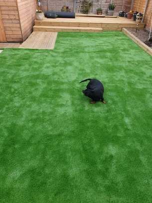 Pets play area well fitted artificial grass carpet image 2