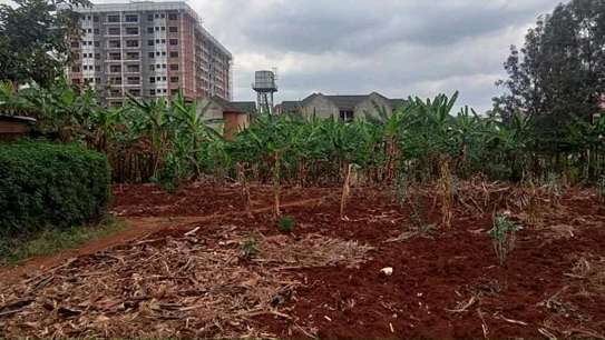 50 by 100 plot for sale in Ruaka image 1