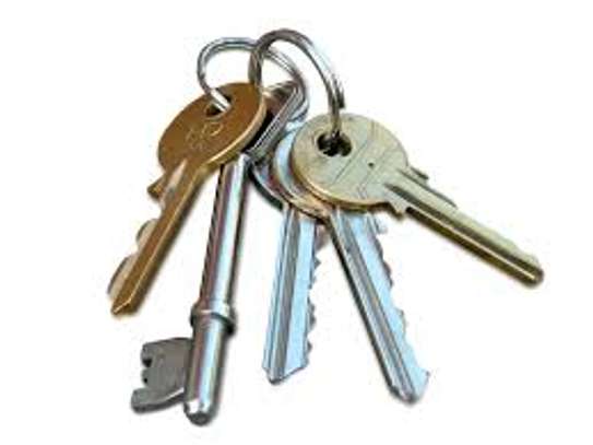 Lock Repair/ Doors Opened Unlocked/ Commercial Locksmith. image 3