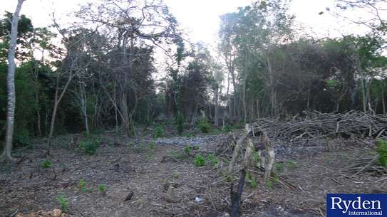 Residential Land at Chale Island image 6
