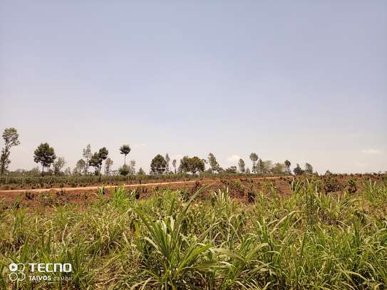 0.5 ac Residential Land at Off Panafric Insurance Avenue image 8