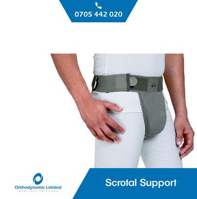 Scrotal Support image 1