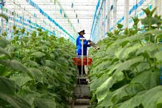 Hire Masons, Plumbers, Electricians & Labour – Bestcare KE image 15