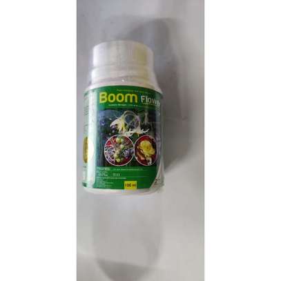 BOOM FLOWER PLANT ENERGIZER AND YIELD BOOSTER image 1