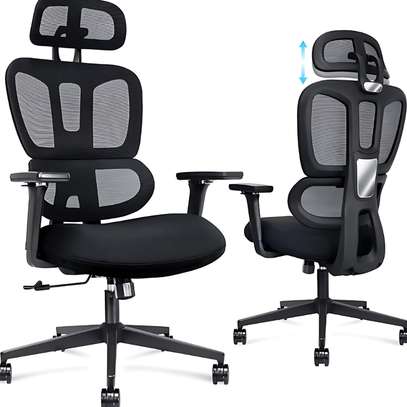 Office Chair: Executive Proper Orthopedic Posture Chair image 3
