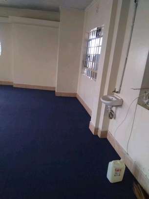 Blue wall to wall carpets:; image 3