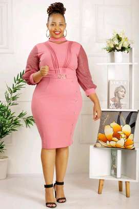 Official Fancy dresses image 3