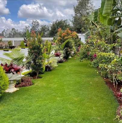 7 Bed House with En Suite in Karen image 3