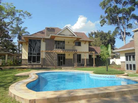 4 Bed House with En Suite at Ruaka Road image 31