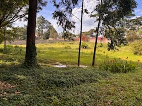 0.5 ac Residential Land in Nyari image 3