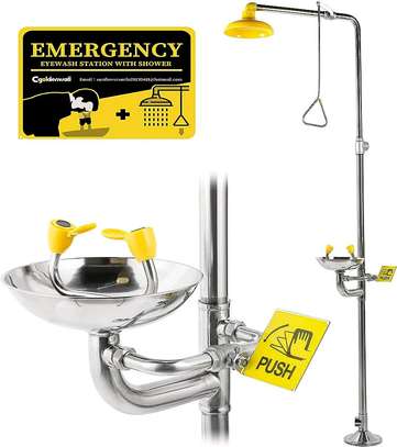 Emergency Shower and Eyewash Combination In Kenya image 1