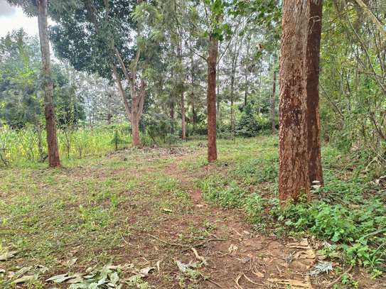 0.125 ac Land at Ruui Kirigiti image 8