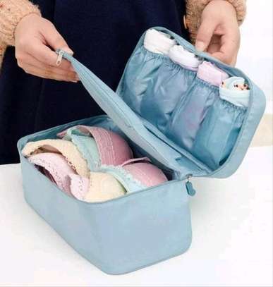 Portable undergarments organizer image 1
