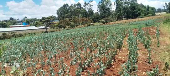 1 3/4 acres land Limuru   waiyaki way @ 100M image 4