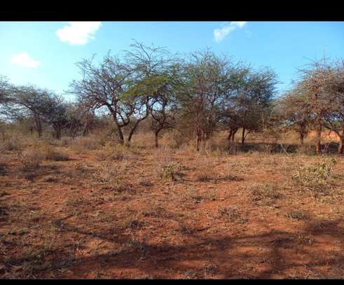 15 1/8 plots for sale near olepolos country club at kisames image 1