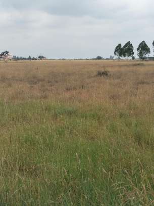 Land in Katani image 1