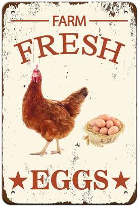 Fresh Eggs for sale image 1