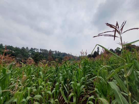 Residential Land at Kinanda Road image 11