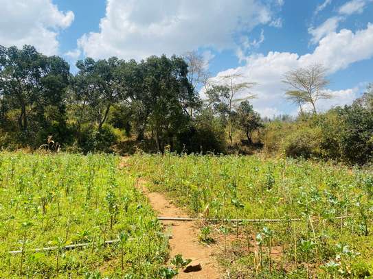 8 ac Land at Ndorobo Road image 5