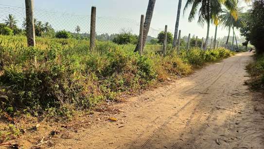 15 ac Land at Bomani image 10