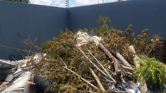 Bush Clearing Services  Nairobi | Athi River | Gatundu | Githinguri | Kajiado | Kiambu | Kikuyu | Kitengela |Kitui | Machakos | Masii | Mwala | Nairobi |Ngong |Oloitoktok |Ongata Rongai | Tala/Kangundo | Wote/Makueni | Naivasha. image 10