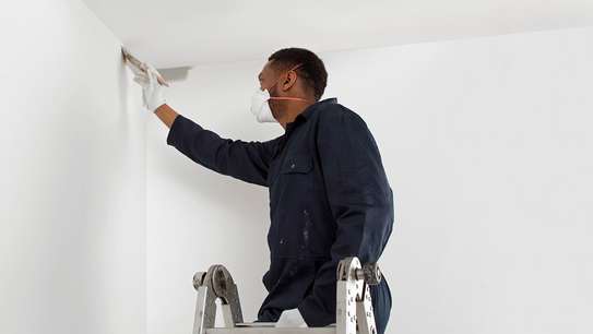 Professional Painting Service Offered at the Lowest Rates image 2