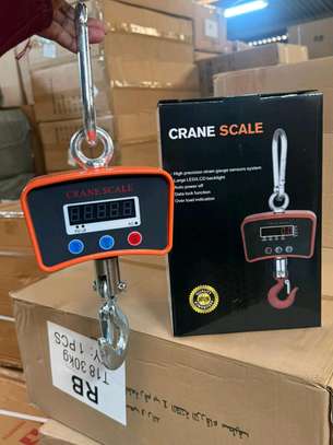 500Kgs- Mini Industrial Crane Scale for Warehouse image 2