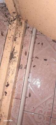 Fumigation Services image 2