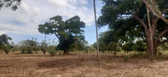 19 acres parcel of land for sale in Ganda,Malindi image 1