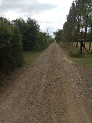 Prime plots for sale in Nyeri Mweiga Muthuini/Kanyagia Area image 2